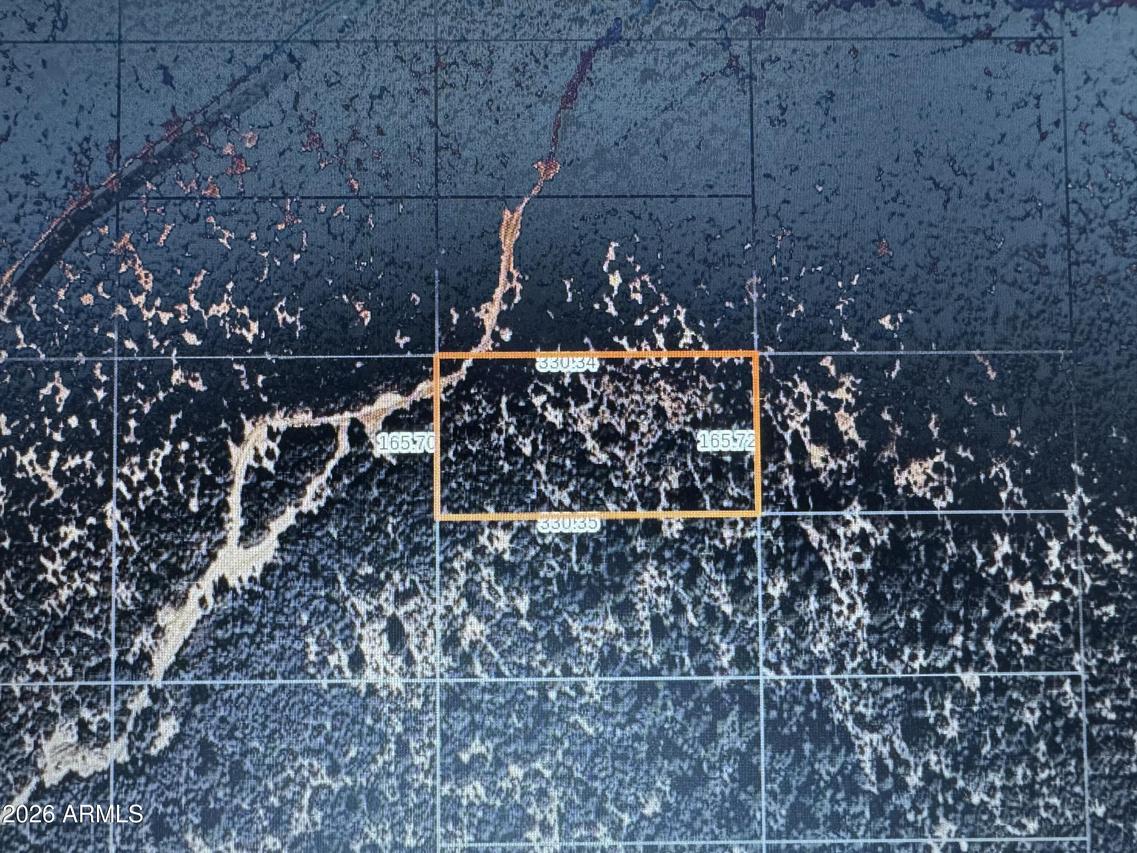 xxxx E E St. #99, Meadview, AZ 86444