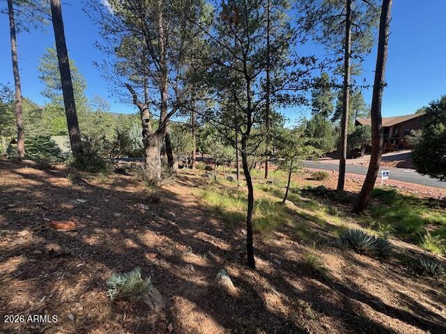 lot 33 Sage Ct. #33, Pine, AZ 85544