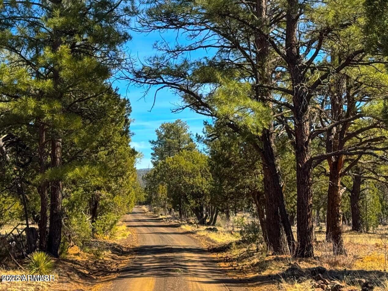 11 Co Rd N3262 5 Acres #-, Vernon, AZ 85940