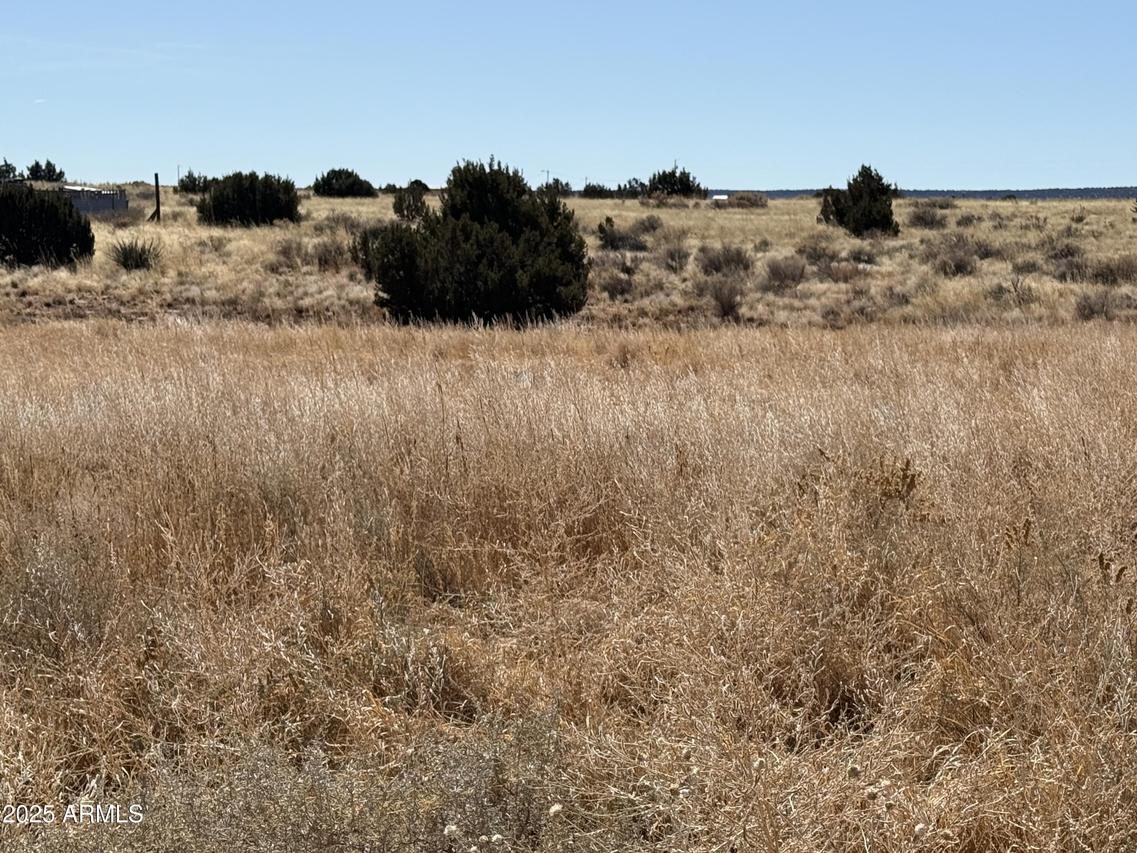 13 N Mountain View St., St Johns, AZ 85936