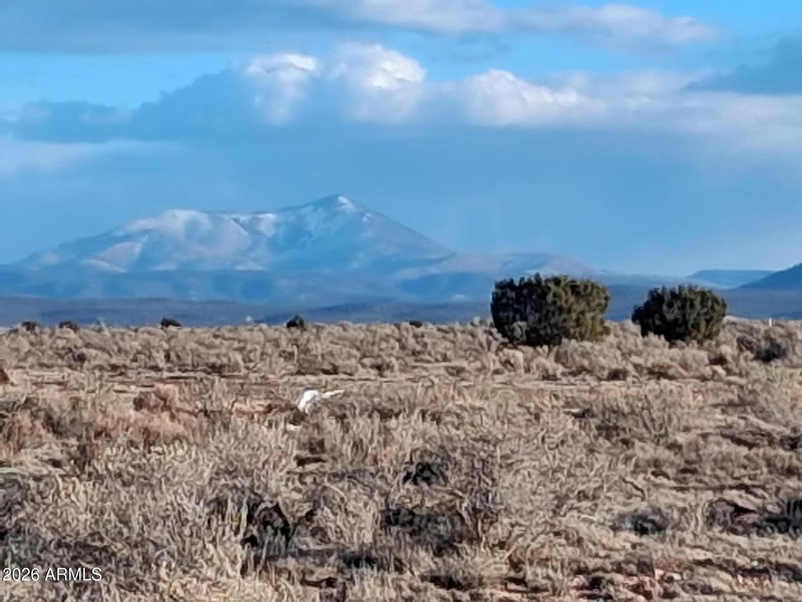 1801 E Canby Dr. #-, Williams, AZ 86046