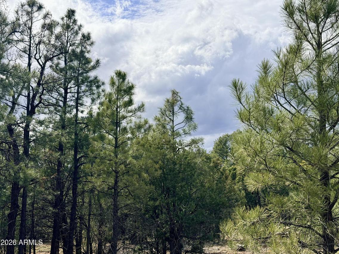 2588 Spoonbill Dr. #7, Happy Jack, AZ 86024