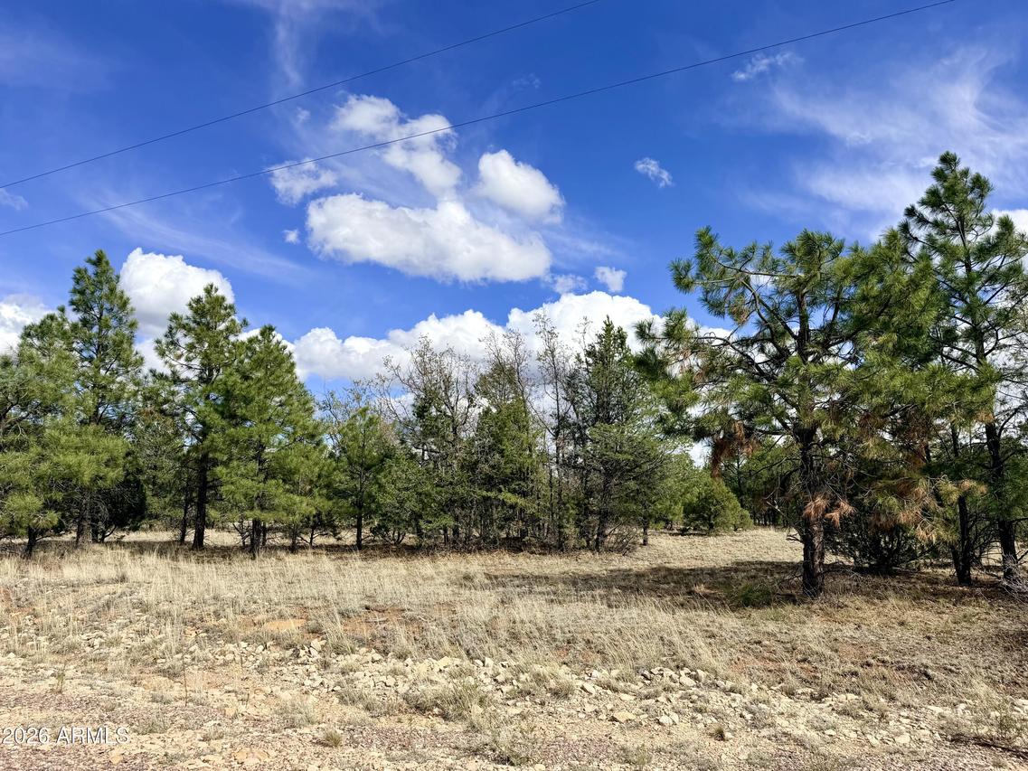 7112 Horizon Cir. #101, Happy Jack, AZ 86024