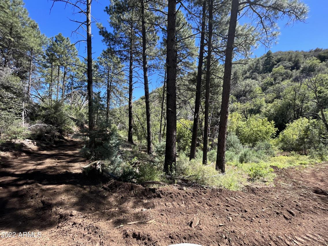 00 S Alexandra Rd. #-, Crown King, AZ 86343