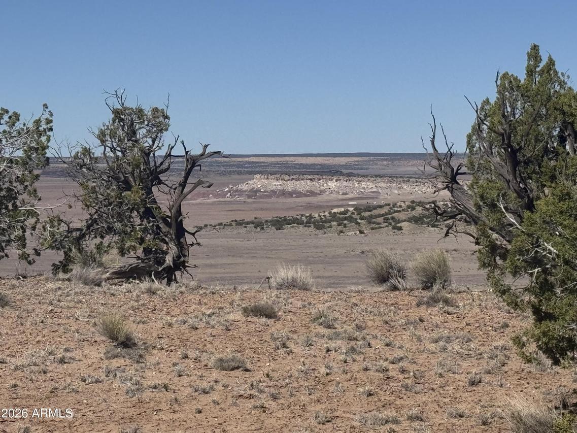 Lot 96 Bonito Valley Ranch #96, St Johns, AZ 85936