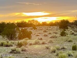 TBD Co Rd N6659 36.25 Acres #-, St Johns, AZ 85936