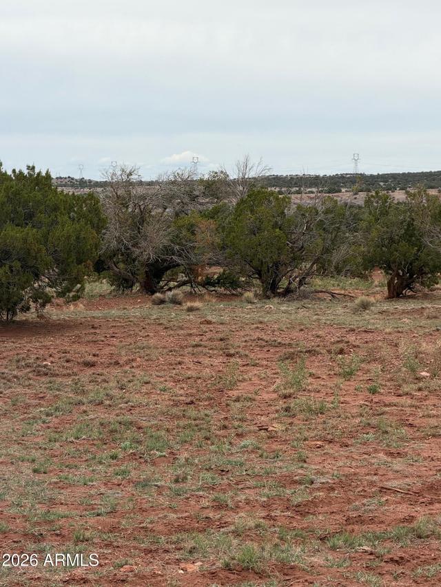N6126 N N6126 #20244012, St Johns, AZ 85936