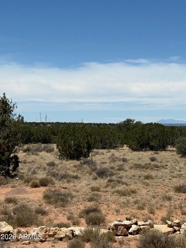 - Section 9,t14n,r16e:n2 Sw4 Nw4 #--, Heber, AZ 85928