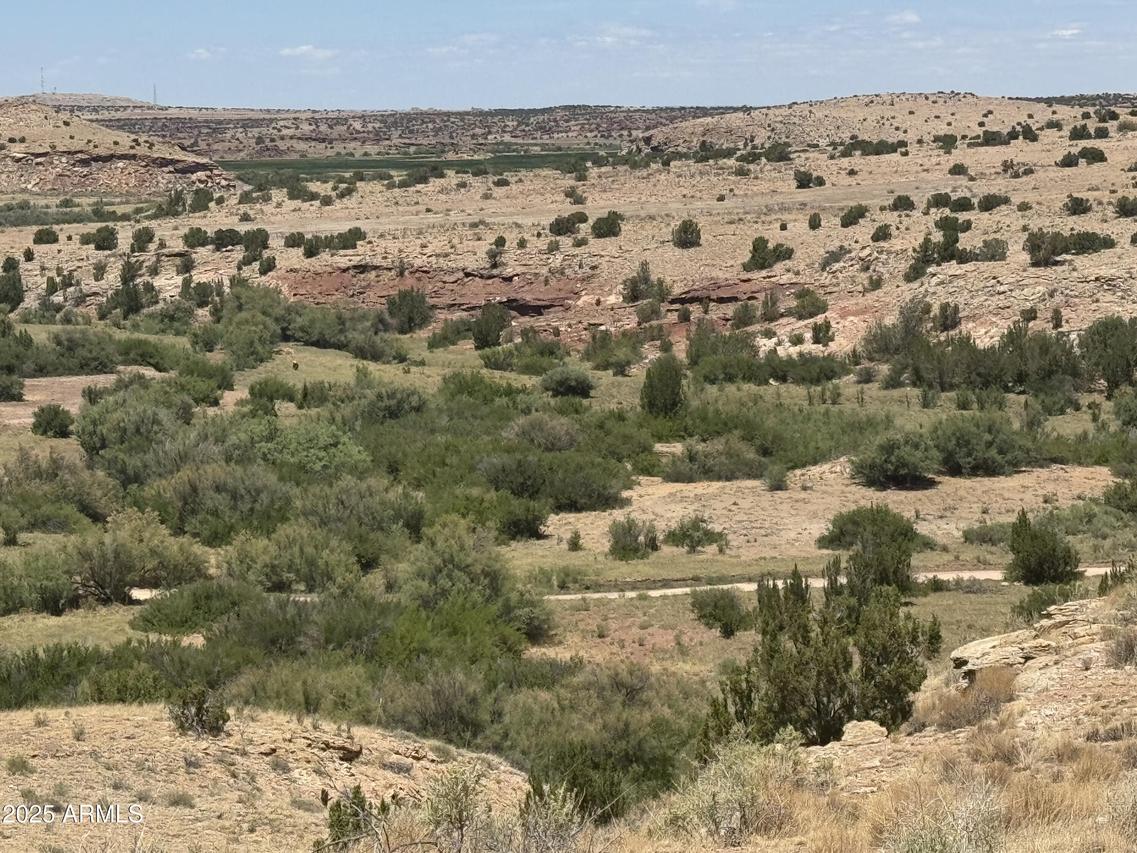 Lot 95 River Springs Ranch #095, St Johns, AZ 85936