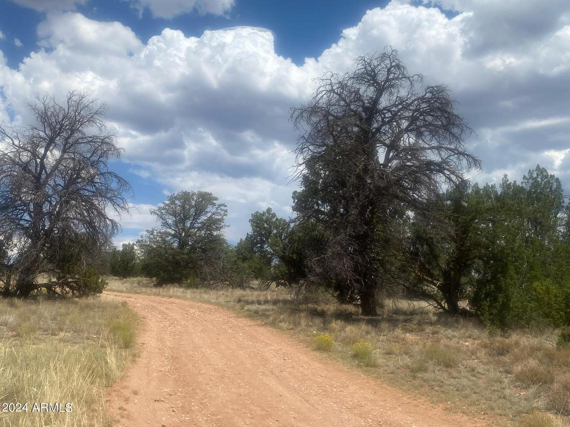 5785 N Muytala Dr. #96, Williams, AZ 86046
