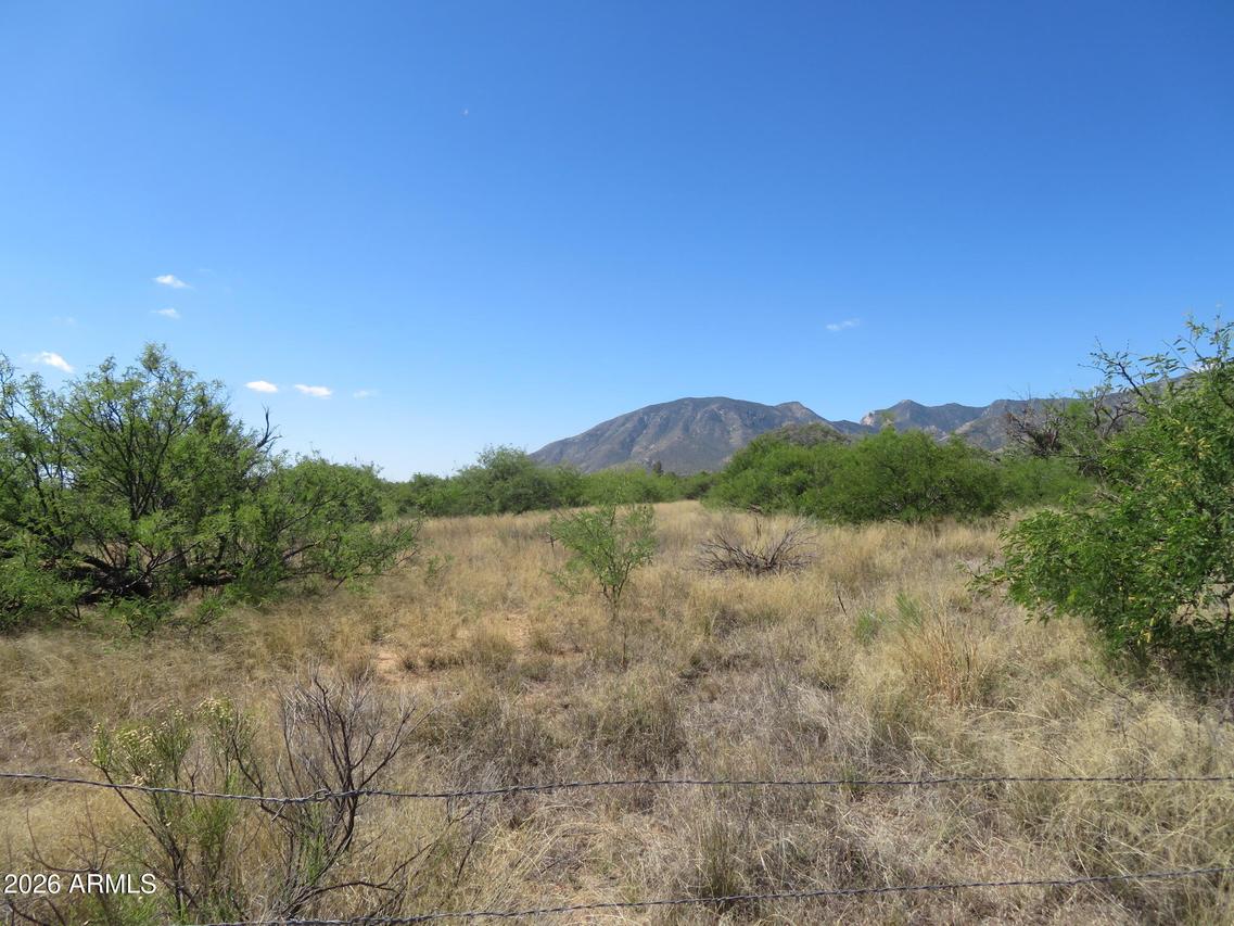 TBD E La Paloma Ln. #104-08-002A, Hereford, AZ 85615