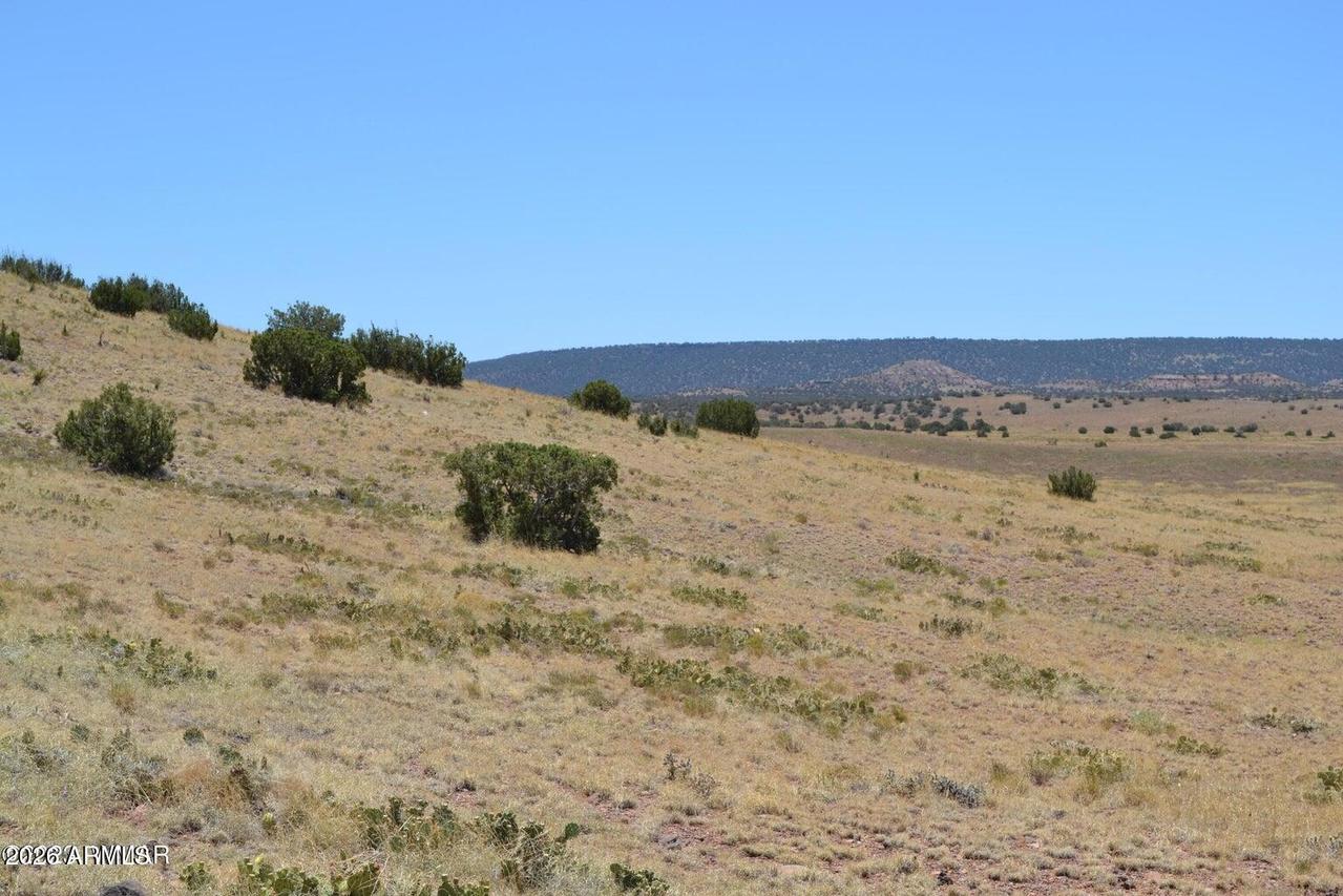 Lot 863 Acr N8497 #863, Concho, AZ 85924