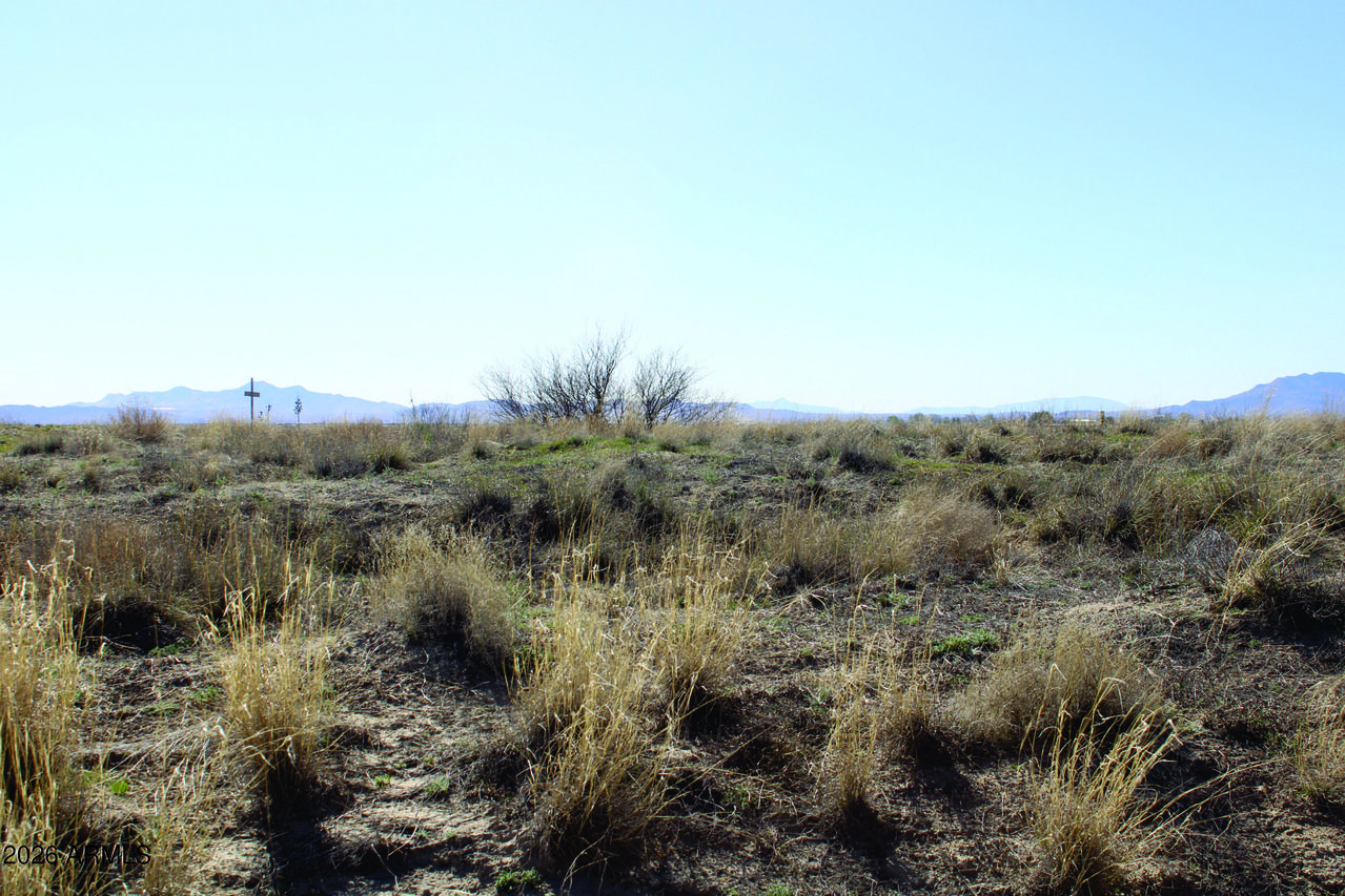 .55 Acres Hwy 186 #1219, Willcox, AZ 85643