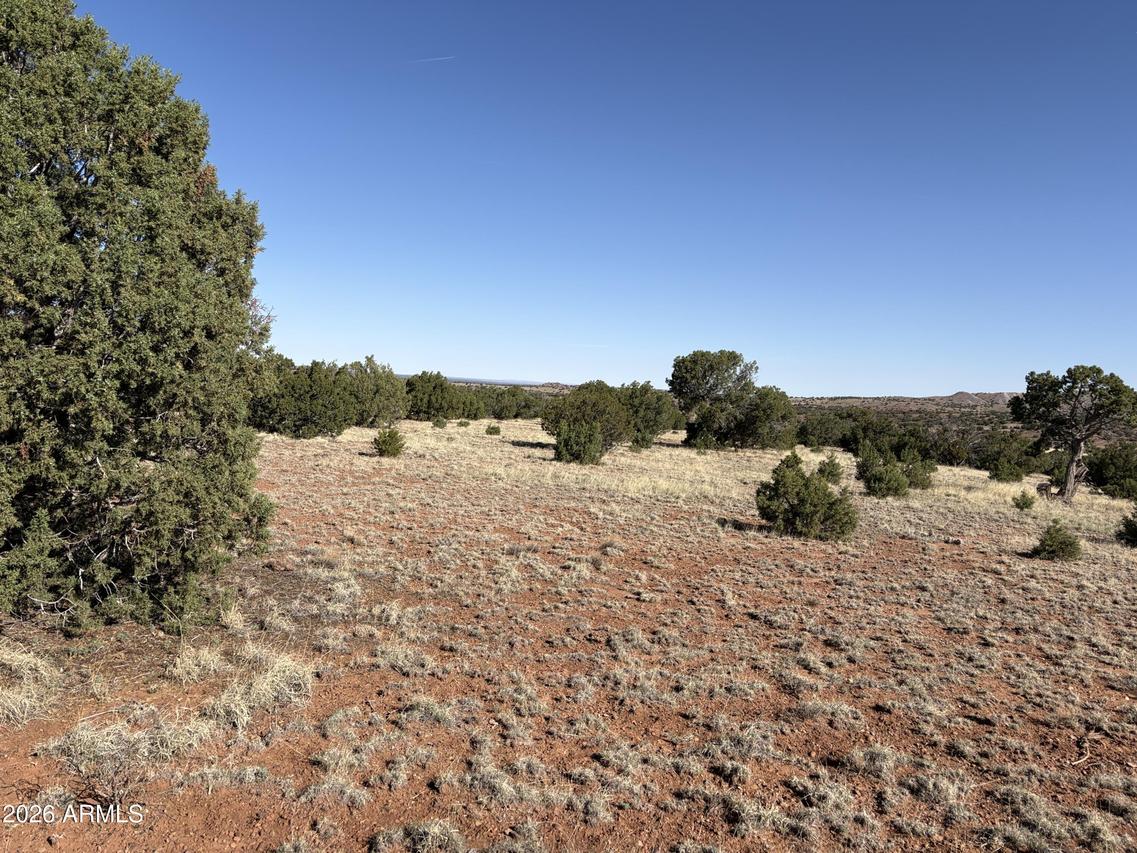 57 County Road N8483, Concho, AZ 85924