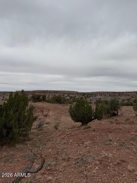 N6124 N N6124 #202-44-022, St Johns, AZ 85936