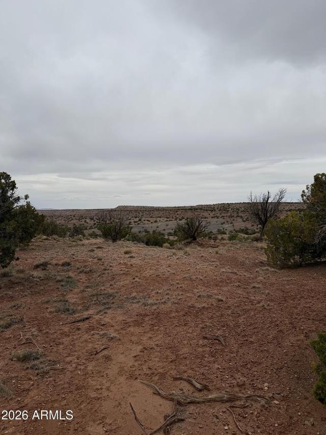 N6124 N N6124 #20245008, St Johns, AZ 85936