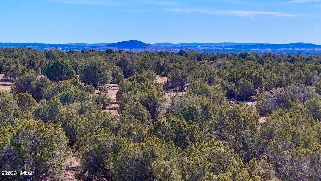 9023 Appaloosa Trl Lot A, 5 Acres #-, Show Low, AZ 85901