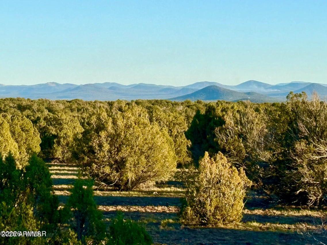 9023 Appaloosa Trl Lot A, 5 Acres #-, Show Low, AZ 85901