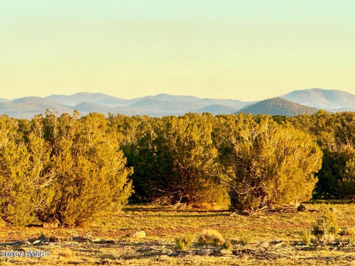 9023 Appaloosa Trl Lot B, 5 Acres #-, Show Low, AZ 85901