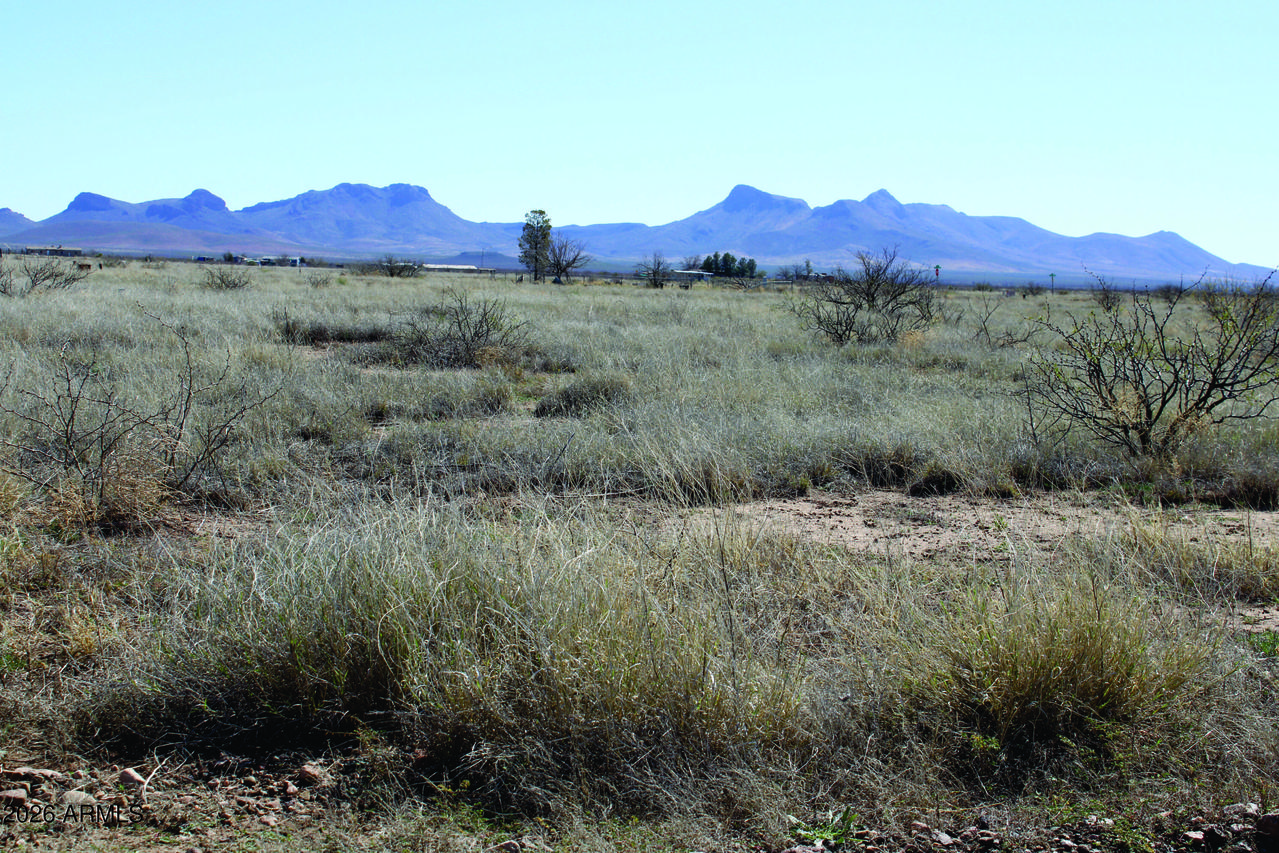 1.38 Acres N San Louis Rey Dr. #305, Douglas, AZ 85607