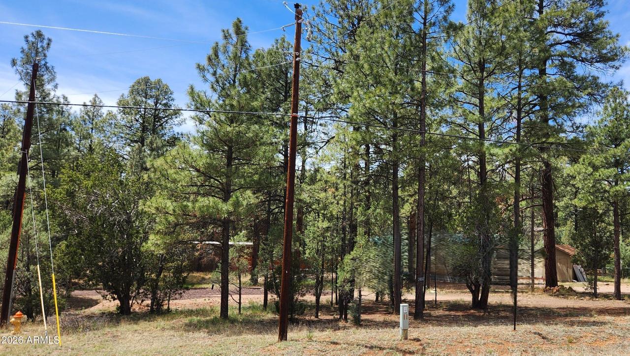 2890 Pine Rim Rd. #-, Overgaard, AZ 85933