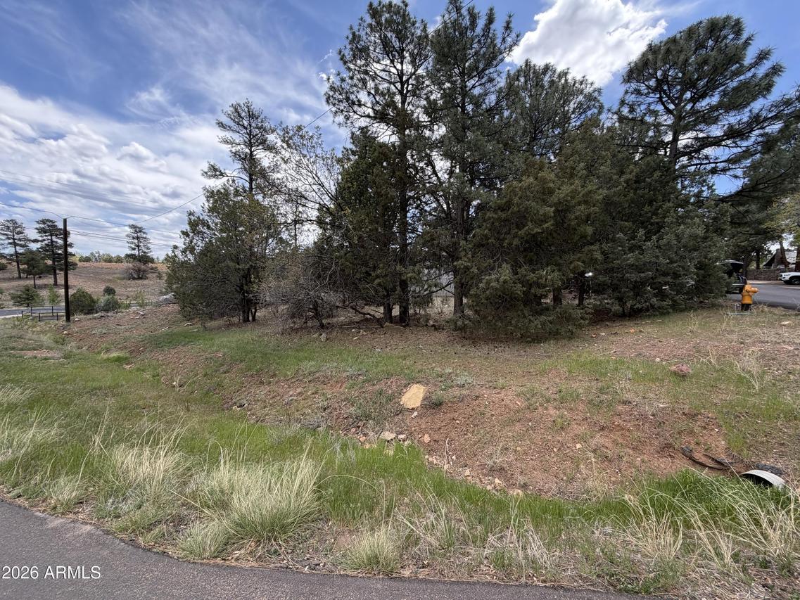 261 S 1st Dr. #4, Show Low, AZ 85901