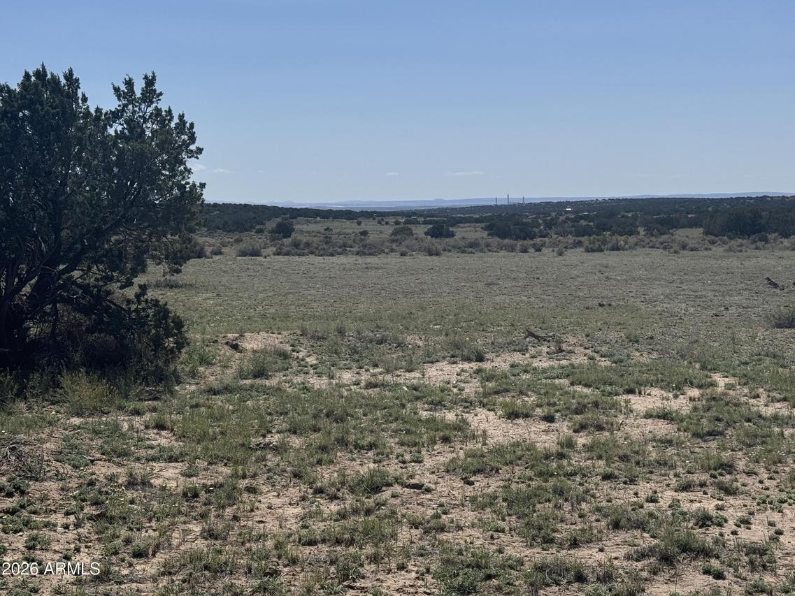 Lot 531 Woodland Valley Ranch #531, St Johns, AZ 85936