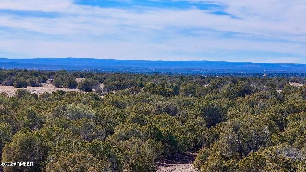 9023 Appaloosa Trl Lot D , 10 Acres #-, Show Low, AZ 85901