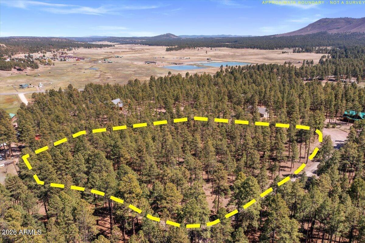 TBD County Rd 2325 #-, Alpine, AZ 85920