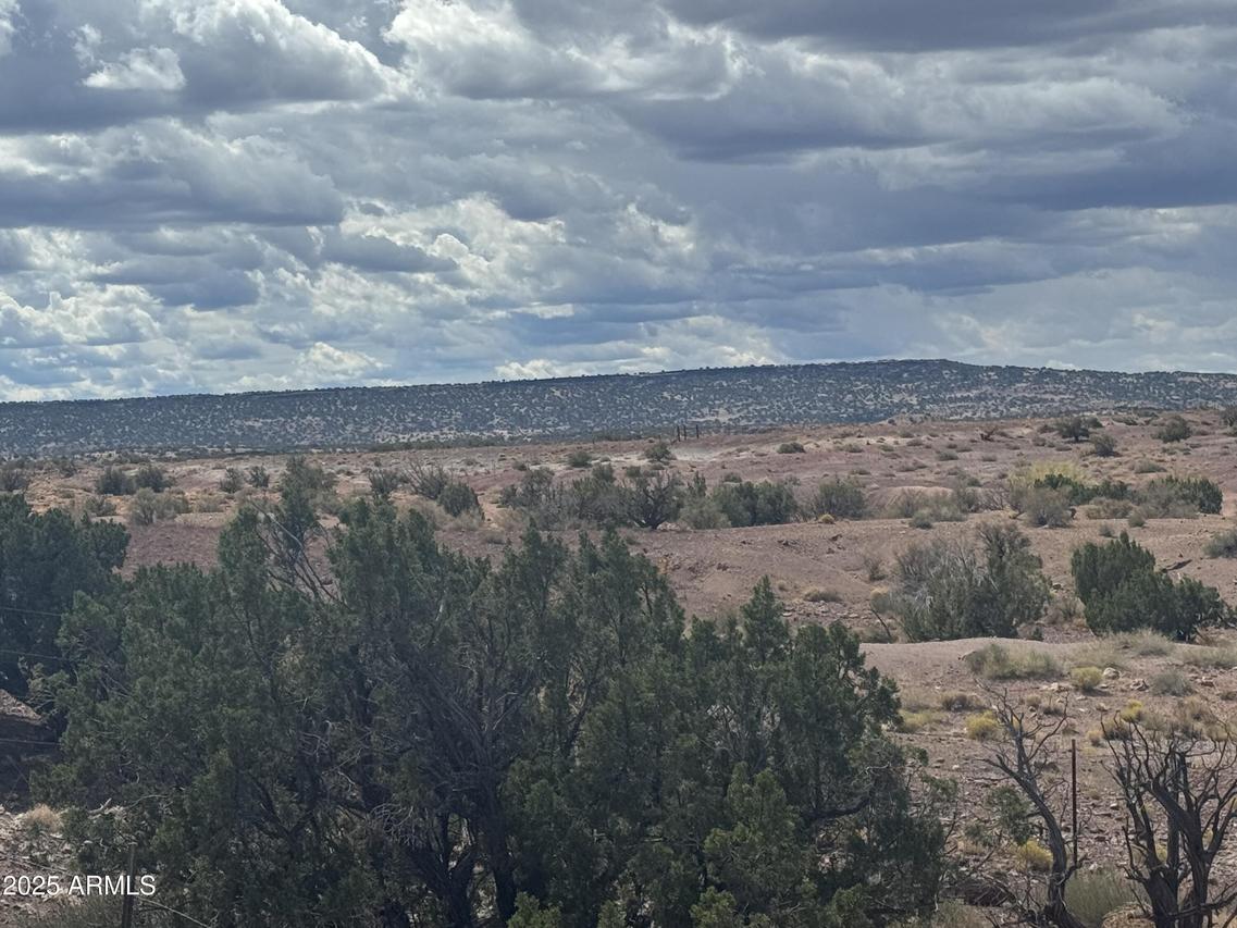 #59 River Springs Ranch #59, St Johns, AZ 85936
