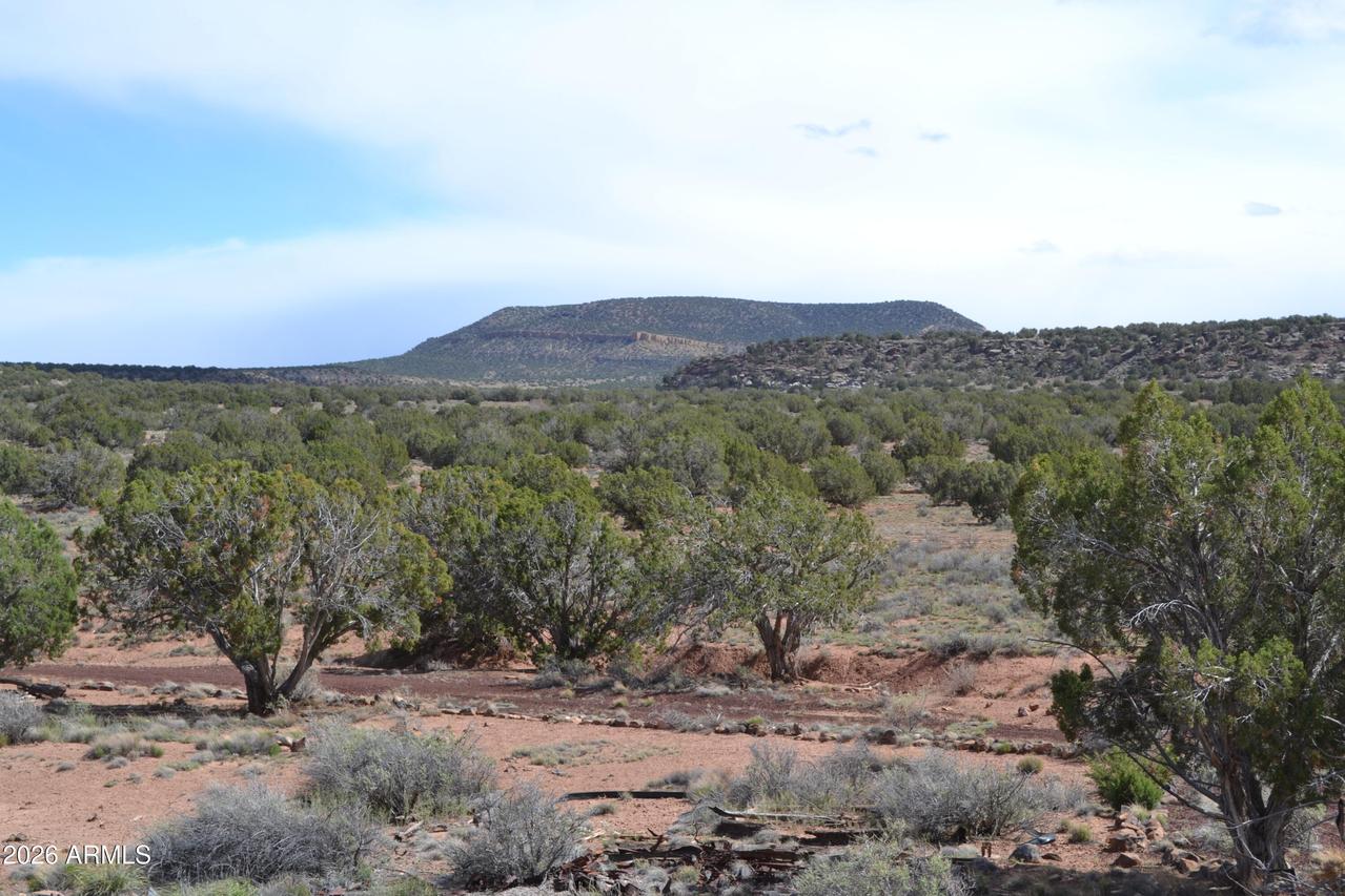 32 N8544 #398, Concho, AZ 85924