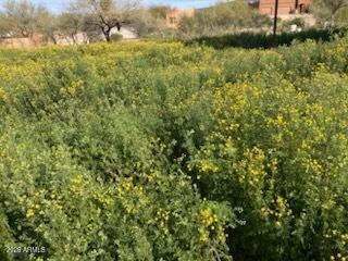 45427 N 14th St. #A, New River, AZ 85087