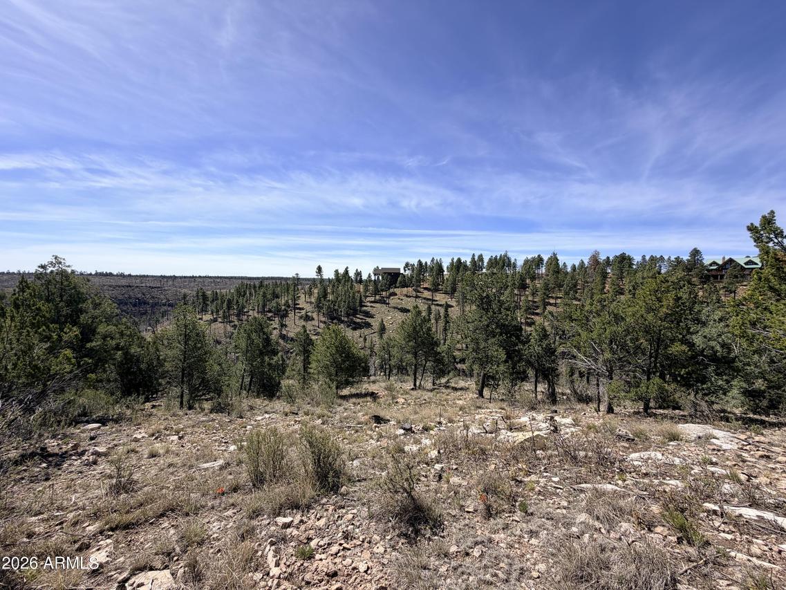 5088 Morning View Dr. #6, Happy Jack, AZ 86024