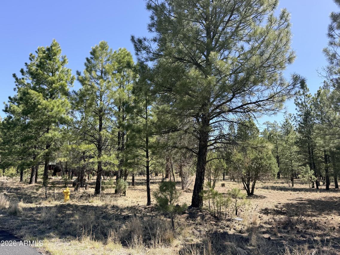 1755 Sugar Pine Dr. #232, Happy Jack, AZ 86024