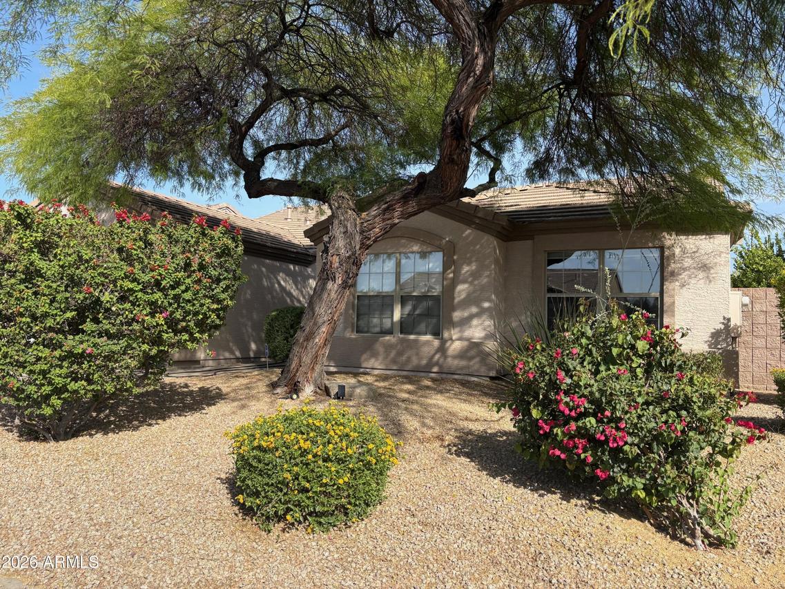 26217 N 46th Pl., Phoenix, AZ 85050