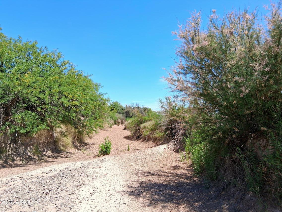 TBD N Mahan Rd. #2, San Simon, AZ 85632