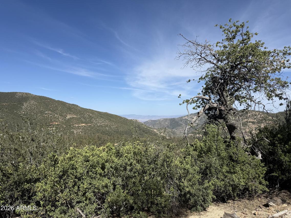 00 E Mountian View Rd. #-, Crown King, AZ 86343