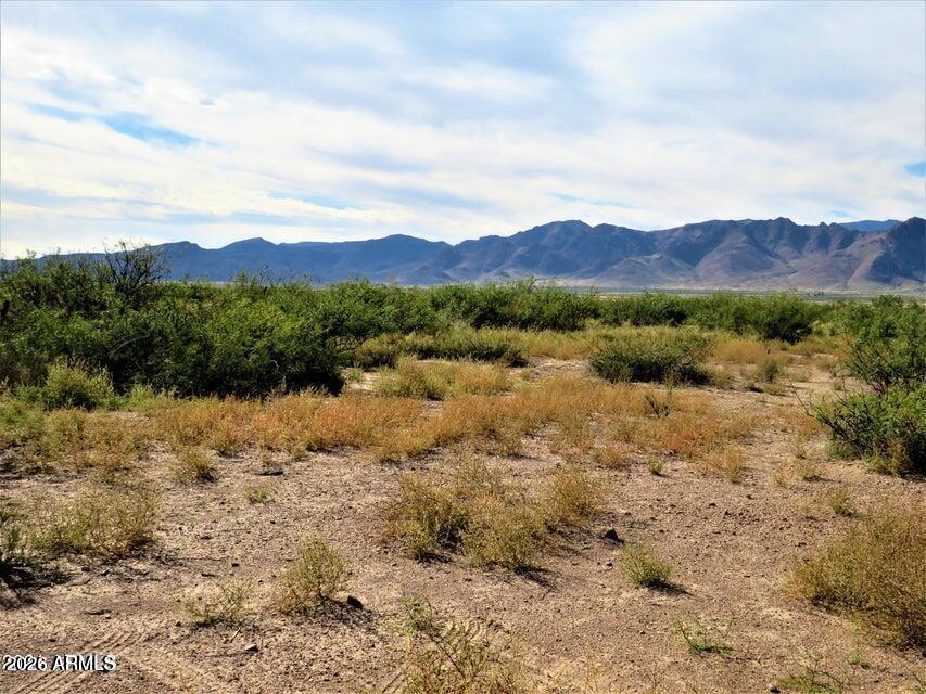 TBD Many Wells #315, Portal, AZ 85632