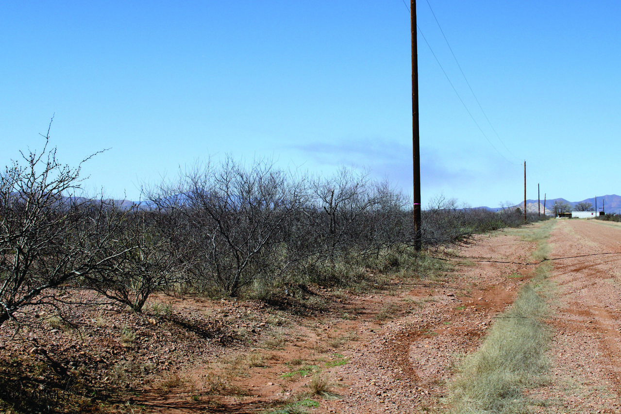 .22 Acre N Mesa Ct. #1070, Douglas, AZ 85607