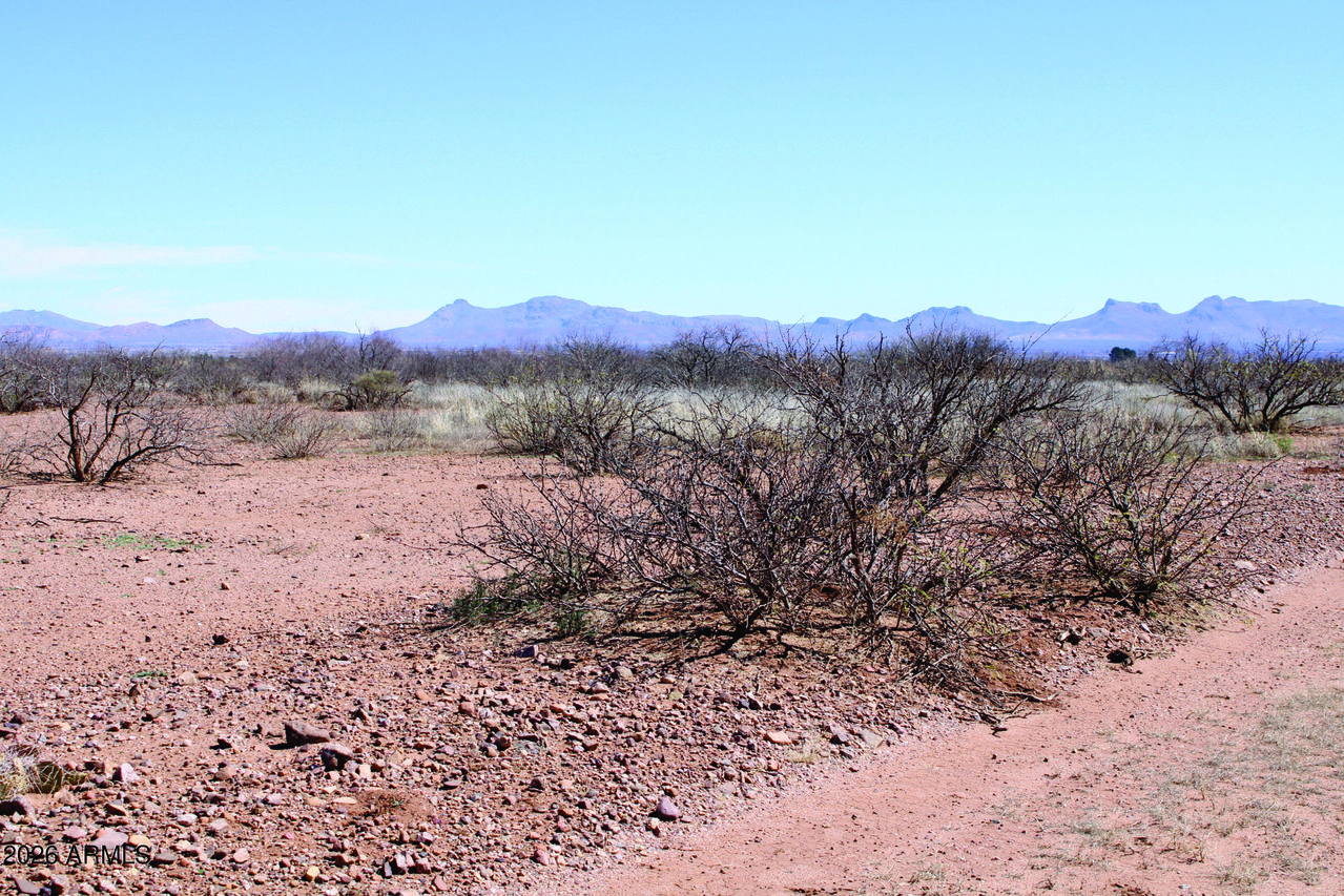 .25 Acre W Penn State Dr. #1245, Douglas, AZ 85607