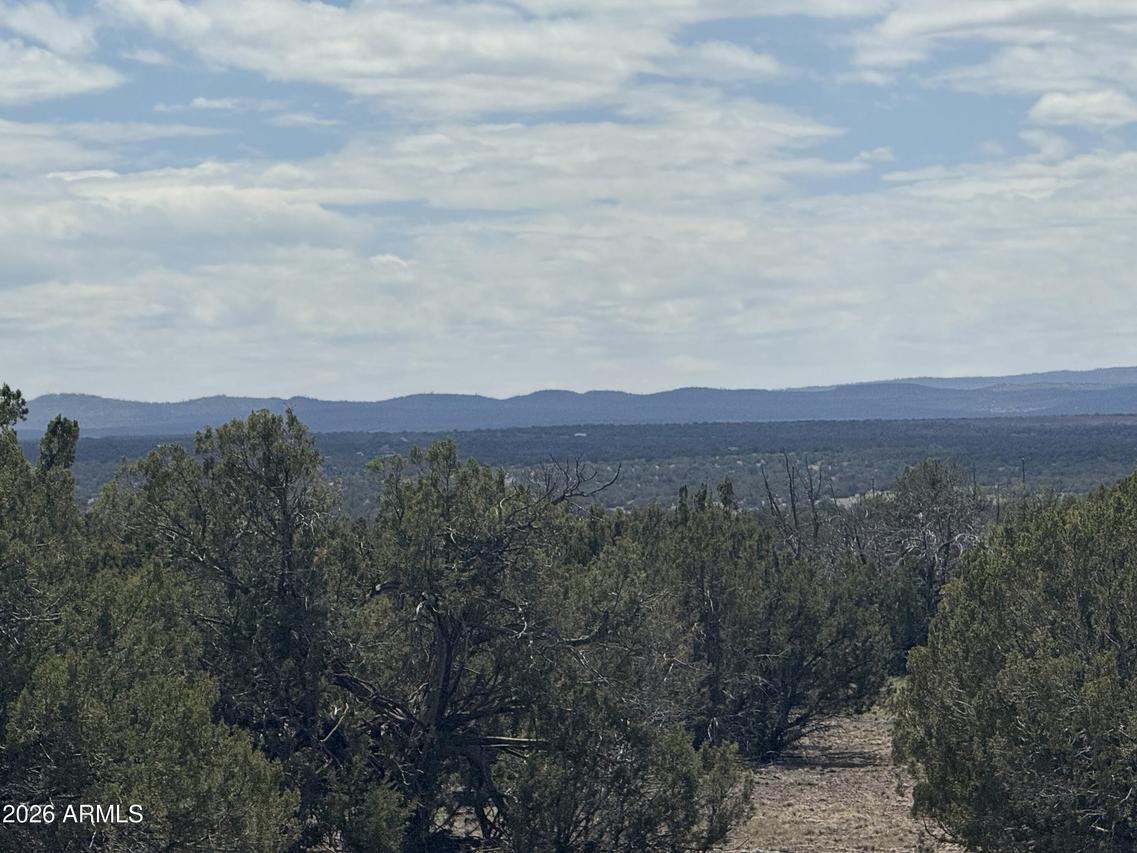 Lot 014E Wagon Lane #014E, Snowflake, AZ 85937