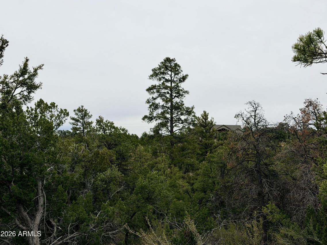 4918 Sunset Ridge Loop #199, Happy Jack, AZ 86024