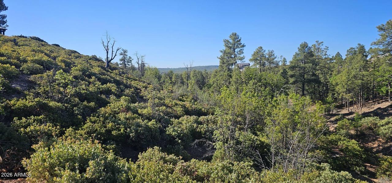 6303 Deer Run Rd. #398, Show Low, AZ 85901