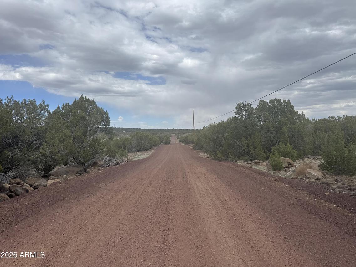 Lot 164 Mesa Redondo #164, Concho, AZ 85924