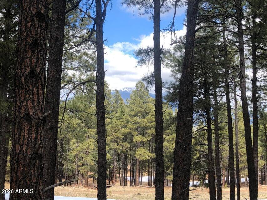 9410 Coyote Pass #-, Flagstaff, AZ 86001
