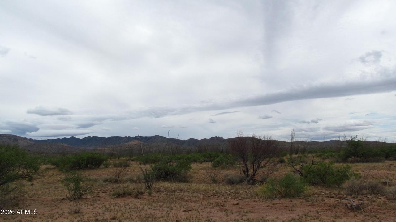TBD Lot 50 Mule Mountain Ranches 2 #50, Tombstone, AZ 85638
