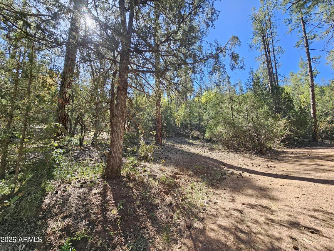 3054 N Neal Dr. #4, Payson, AZ 85541