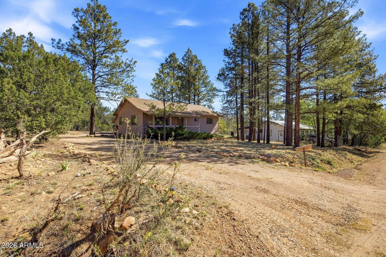 1924 1924 Little Doe Tr., Overgaard, AZ 85933