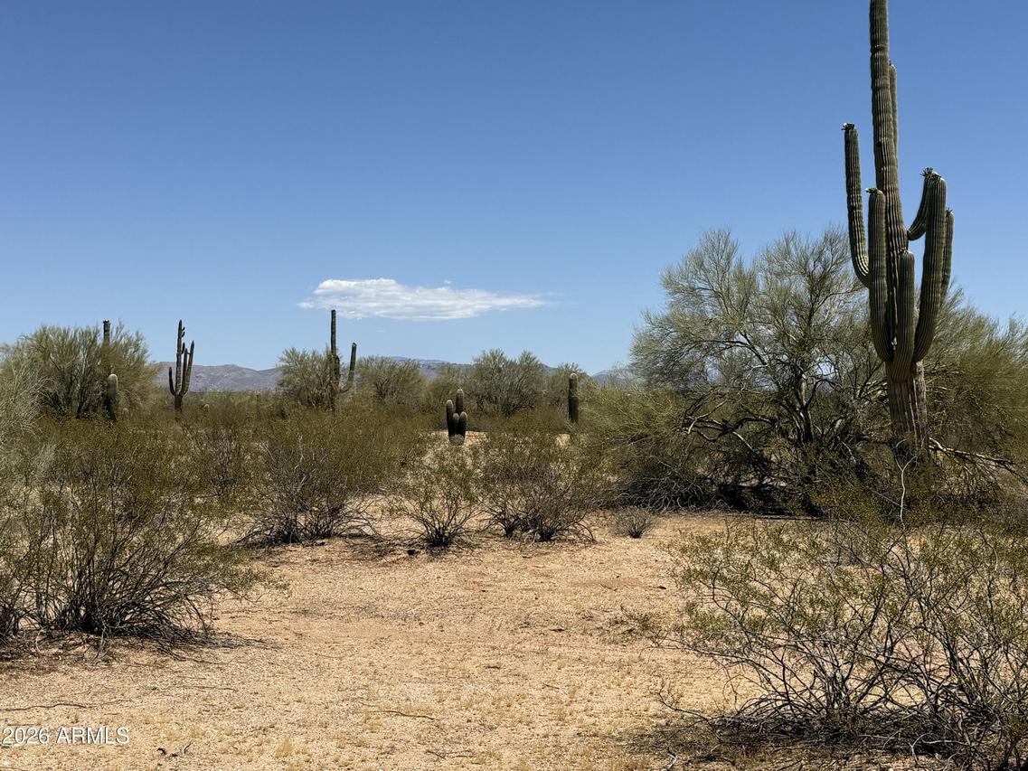 Lot 4 S Cactus Garden Way #4, Marana, AZ 85653
