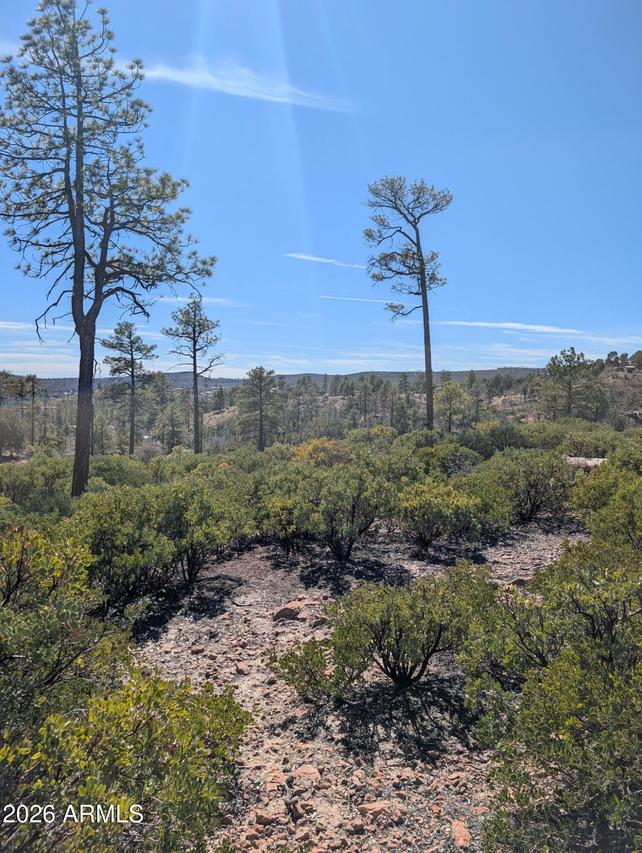 958 Navajo Tr. #435, Show Low, AZ 85901